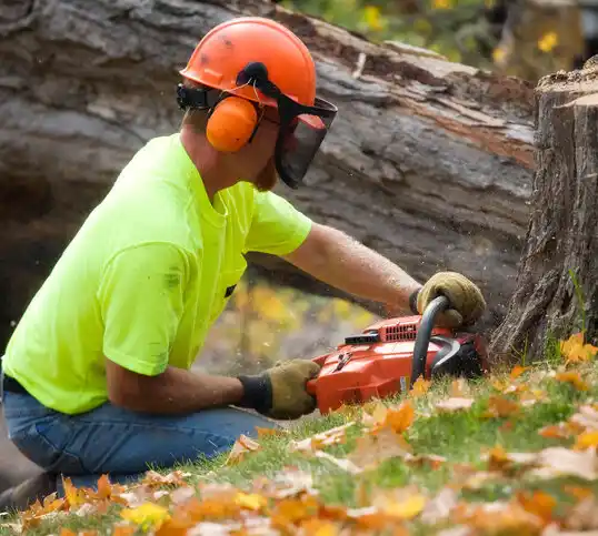 tree services Bayou Cane